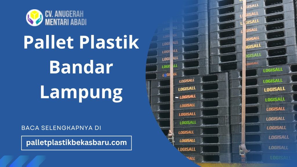 Pallet Plastik Bandar Lampung 2025 10 Pallet Plastik Bandar Lampung