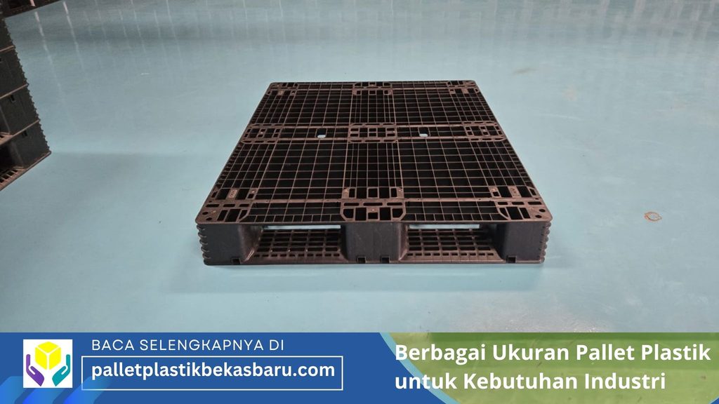 Berbagai Ukuran Pallet Plastik untuk Kebutuhan Industri 1