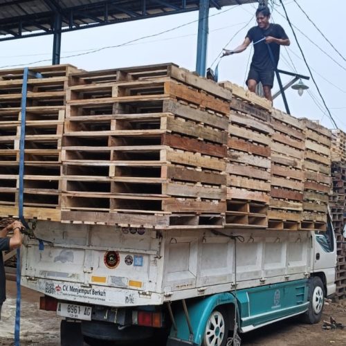 Home 49 WhatsApp Image 2024-12-05 at 11.24.18_34acb170