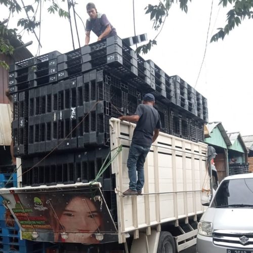 Home 52 WhatsApp Image 2024-12-05 at 11.24.20_04be8af8