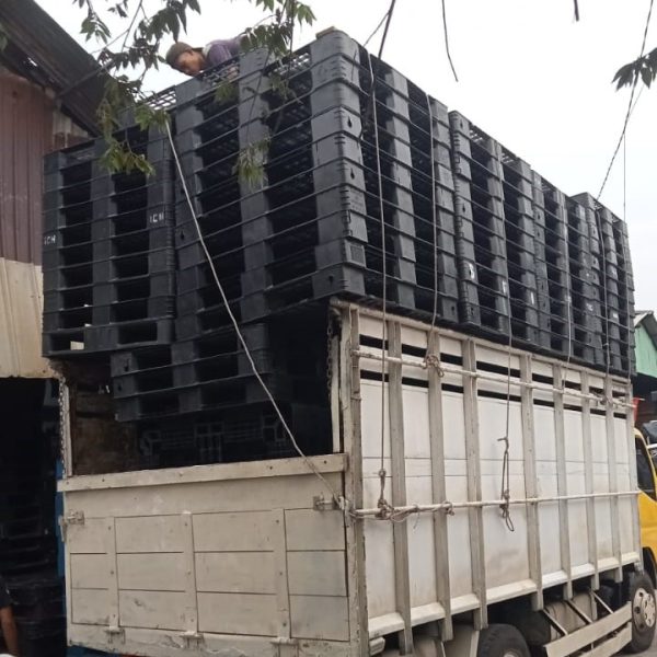 WhatsApp Image 2024-12-05 at 11.24.20_87ec26dd