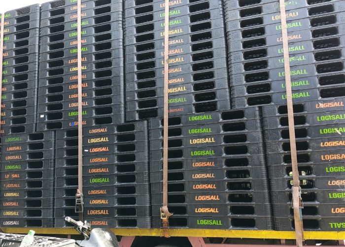 pallet plastik baru