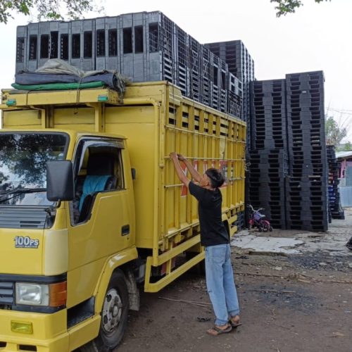 Home 55 pallet plastik bekas